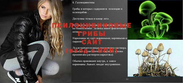 дмт Абинск
